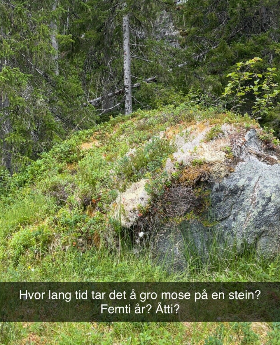 Here is the photo from Morten Olsen Haugen’s walk in the forest. En stor stein er naken på høyre side og full av vekster på venstre side.
