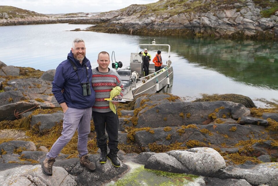 Christopher O’Sullivan and Hans Kristian Werkland, local volunteer at Frøya, collecting eagle chicks in Norway.