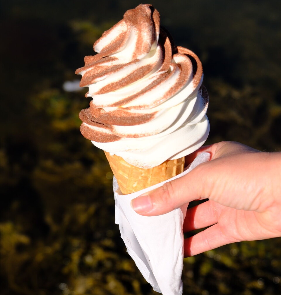 Researcher Katharina Nøkling-Eide argues that Norway has a responsibility to cultivate more of the substance found in soft serve ice cream.