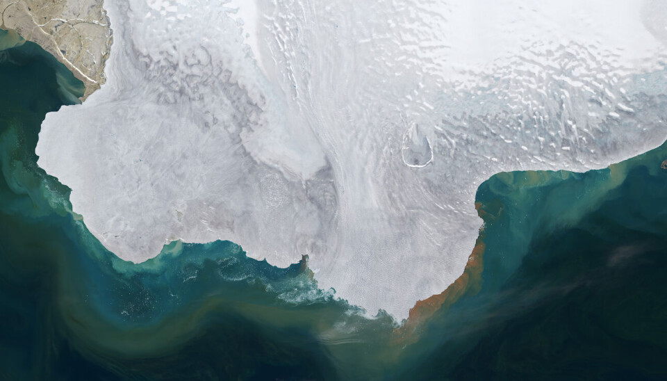 A NASA satellite image shows massive melting on Nordaustlandet, Svalbard, during the summer of 2024. Sediments washed into the sea as the ice melted, creating unusual ocean colours, acccording to NASA.
