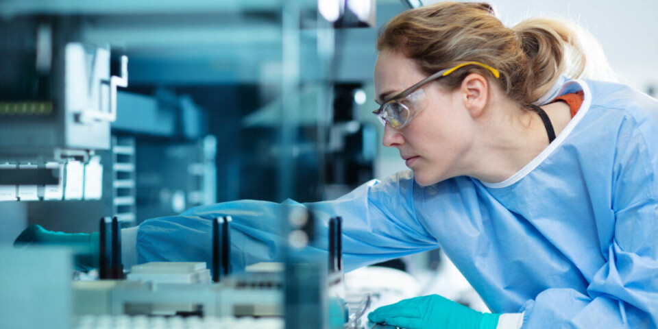 Immunotherapy can cure cancer once and for all. Hanne Haslene-Hox and her colleagues at SINTEF and the Norwegian Radium Hospital are hunting for the very best warrior cells – ones that can target and destroy cancer cells.