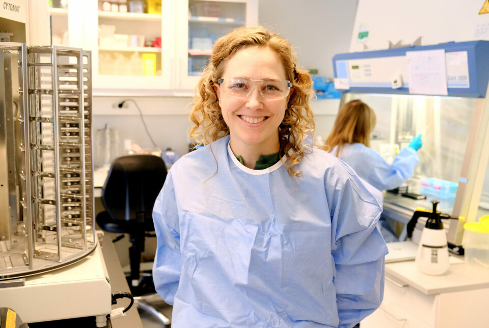 Hanne Haslene-Hox is working on research aimed at developing better cell therapies.