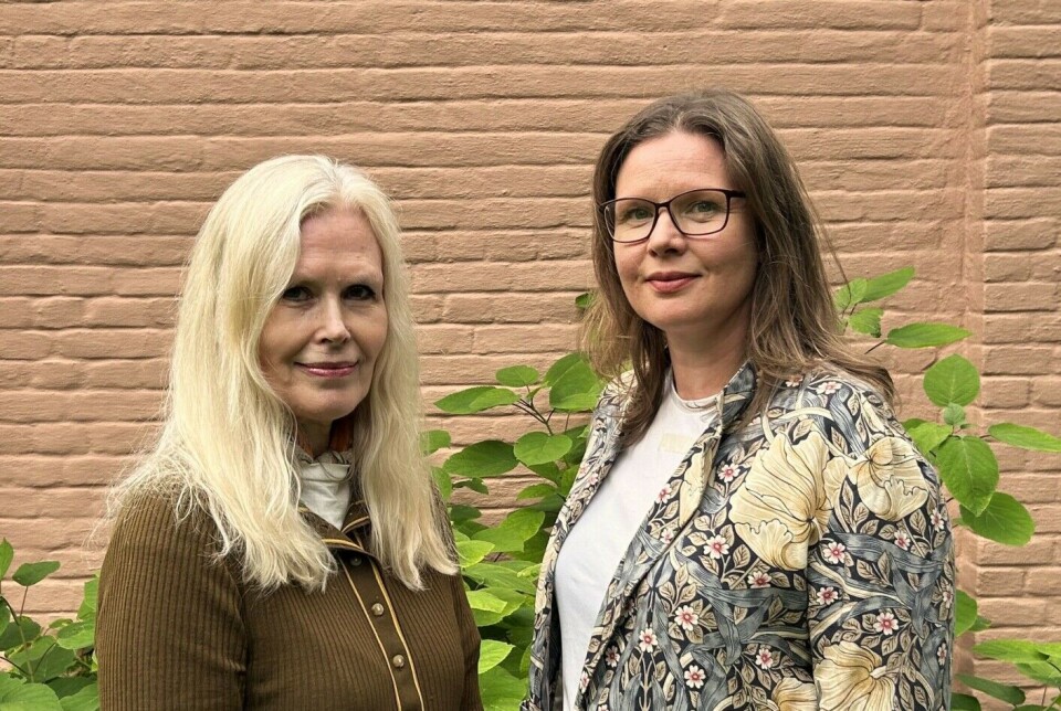For Europe, and also for Norway, it's about understanding the new rules of the game, say researchers Iselin Stensdal and Gørild Heggelund.
