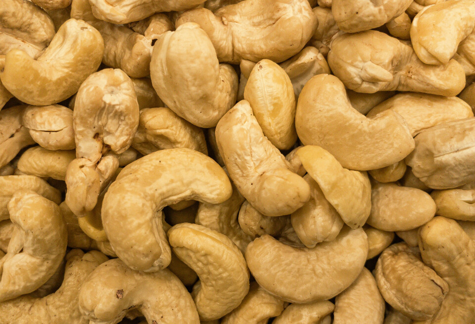 Cashews have become a crucial source of income for many farmers in Guinea-Bissau.