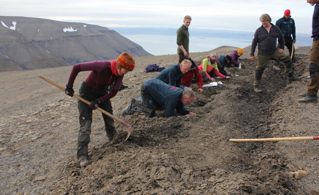 Ichthyosaur foetuses from Svalbard shed light on how these animals evolved