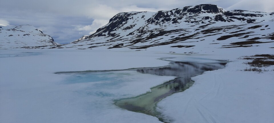 How will climate change affect lakes worldwide?