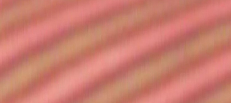 Forskere har laget en tidskrystall vi faktisk kan se