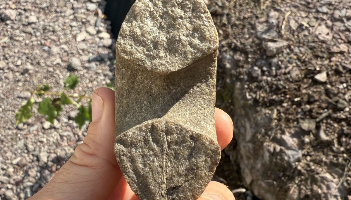 Hammer Invented Rare 9,000-year-old Stone Age hammer discovered in Norway