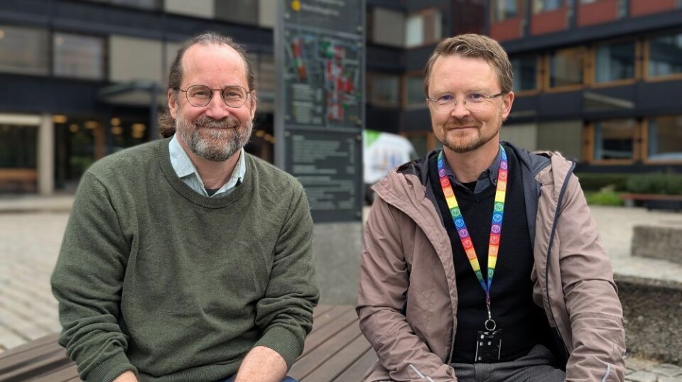 Researchers Jens Dominik Collet and Ingar Mørkestøl Gundersen have investigated how Norwegians managed climate change during the Little Ice Age. They found several parallels to the situation we are in today.