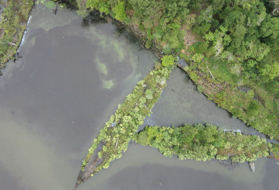 Se bildene: Gamle våpen og spøkelsesskip er fulle av liv