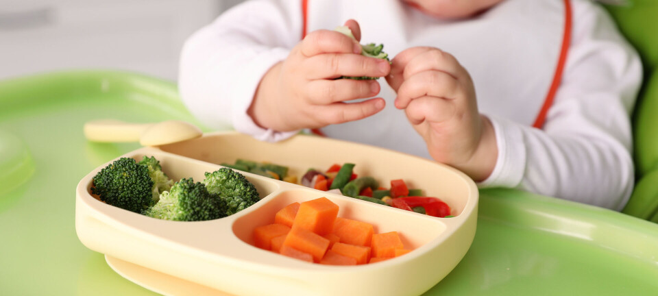 New study: Early interventions against childhood obesity show no effect