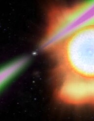 The spiders that eat stars, and the researchers who catch them