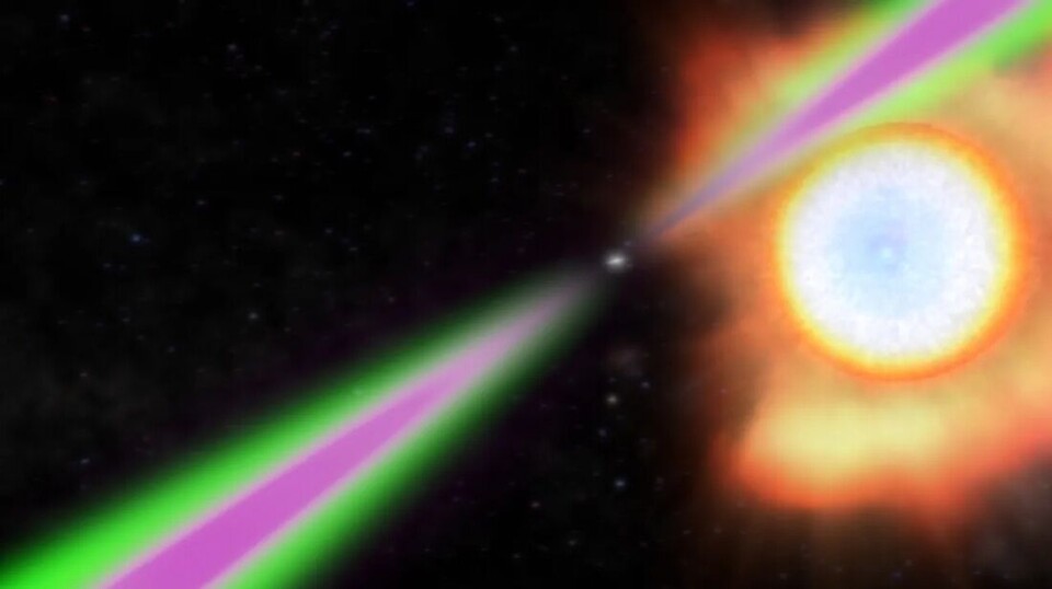 The comparably tiny spider pulsar blasts its much bigger neighbouring star with so much energy that the side facing it gets twice as hot as the Sun’s surface, slowly burning the star away.