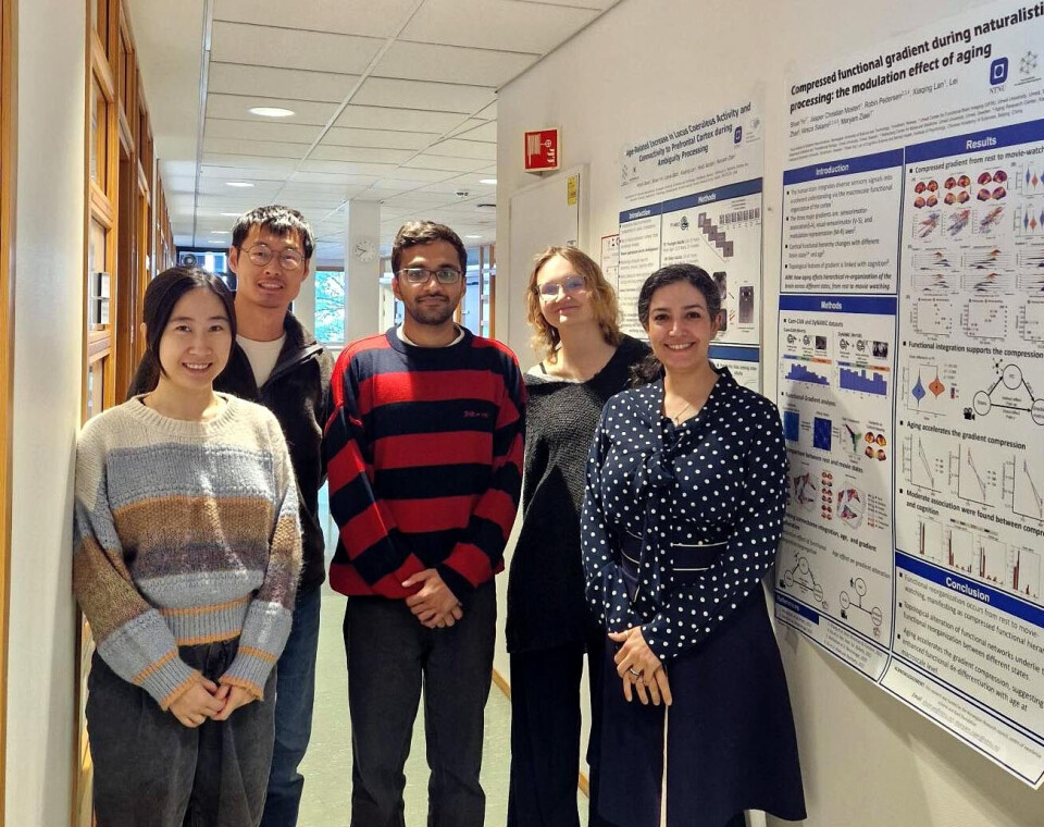 The team behind the study, from left: Xiaqing Lan, Shuer Ye, Arjun Dave, Leona Bätz, and Maryam Ziaei.