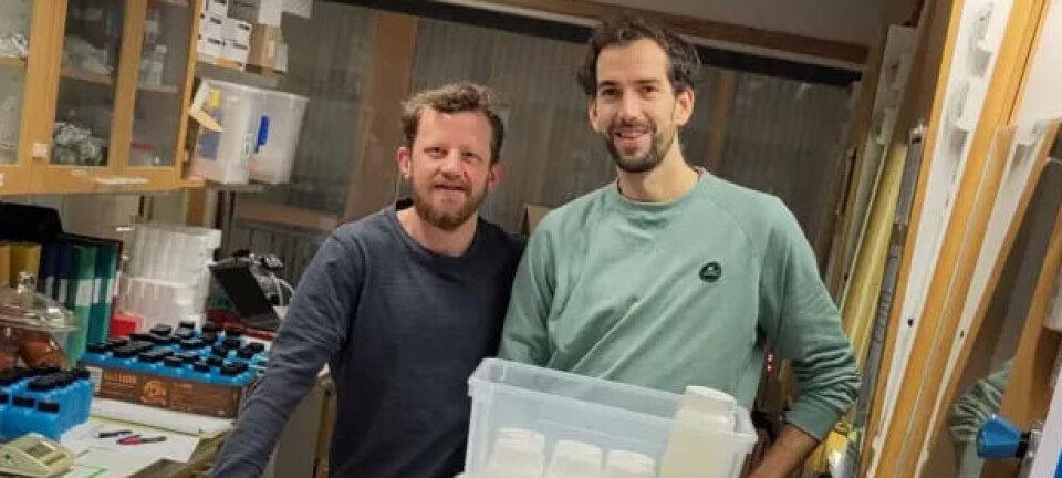 PFAS: This could stop the dangerous chemicals from leaking into the environment