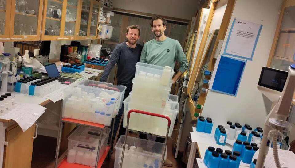 From the right: Michel Hubert from NGI and Björn Bonnet from the Swedish University of Agricultural Sciences analyse soil and water samples for PFAS in the lab. Two researchers in a lab with lots of equipment.