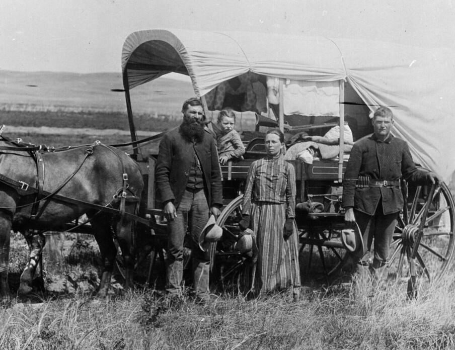 Did the Norwegians in America know that the land they were given had been stolen?