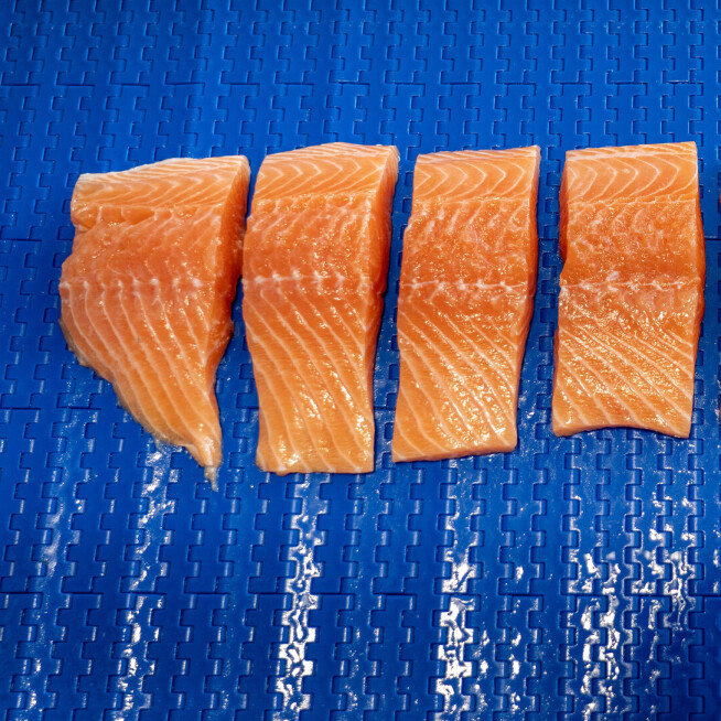Farmed salmon now contain less vitamin D than they used to – but researchers believe they have a solution