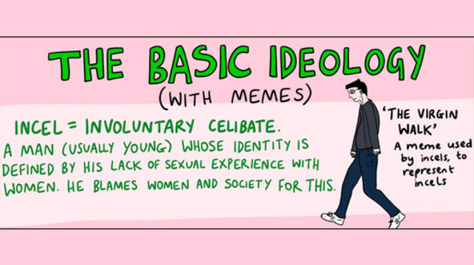 The Incel Understanding the incel community: Insights from new research