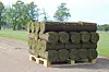 Pallet stacked with rolled turfgrass sod beside a grass field