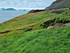 Green slope below Arctic cliffs beside the sea.