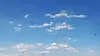 Blue sky with white clouds and dark specks representing eye floaters.