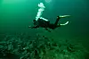 Scuba diver with yellow fins glides above a rocky seabed underwater