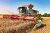 Combine harvester cutting ripe grain in a sunny field