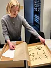 Woman opening an archival box containing pressed plant specimens