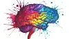 Vivid multicoloured brain illustration with paint splashes on white background