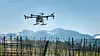Agricultural drone flying over vineyard rows with mountains in the background
