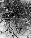 Two aerial views of Nagasaki in 1945, contrasting the city before and after the atomic bombing.