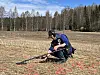 Person kneeling in a field using a metal detector with orange flags marking the ground