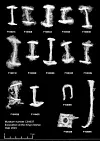 X-ray image of multiple labelled clinker nails from a 2023 royal manor excavation.