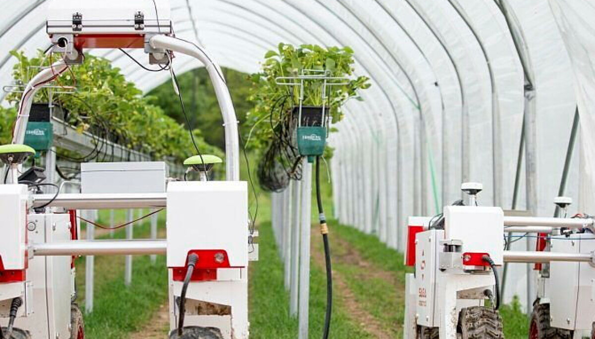 How agricultural robots are revolutionising sustainable farming