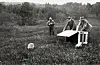 Two beavers leave a wooden crate held open by two men on a grassy wetland