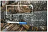 Geological outcrop showing a thin magma dyke cutting through folded marble layers beside a marker pen.