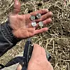 An image of four coins resting in a hand while the other hand sprays water onto them from a spray bottle.