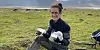 Researcher sitting on tundra collecting reindeer droppings with reindeer grazing in the background.
