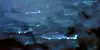 Dark photo of fish in the sea