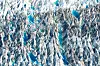 Aerial view of blue and white glacier ice with deep crevasses and sharp ridges.