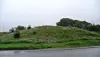 Grassy embankment beside a wet road under a grey, cloudy sky.