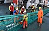 Crew members in hard hats and waterproof gear handle fishing nets and floats on a dock.