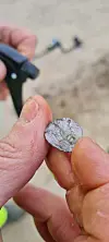 Fingers holding a coin that has just been rinsed with water