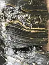 Close up of sediment with layers