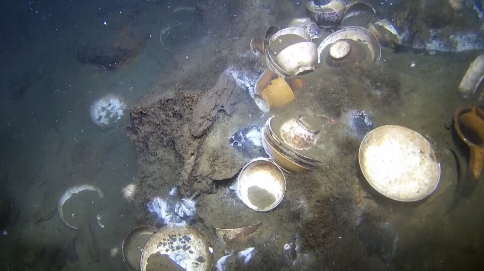 Various bowls and plates in the mud on the seabed.