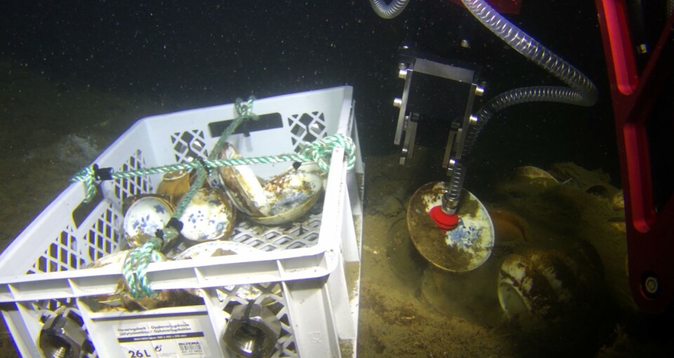 A robotic arm with a red suction cup lifts porcelain plates and bowls and places them into a plastic container on the seabed.
