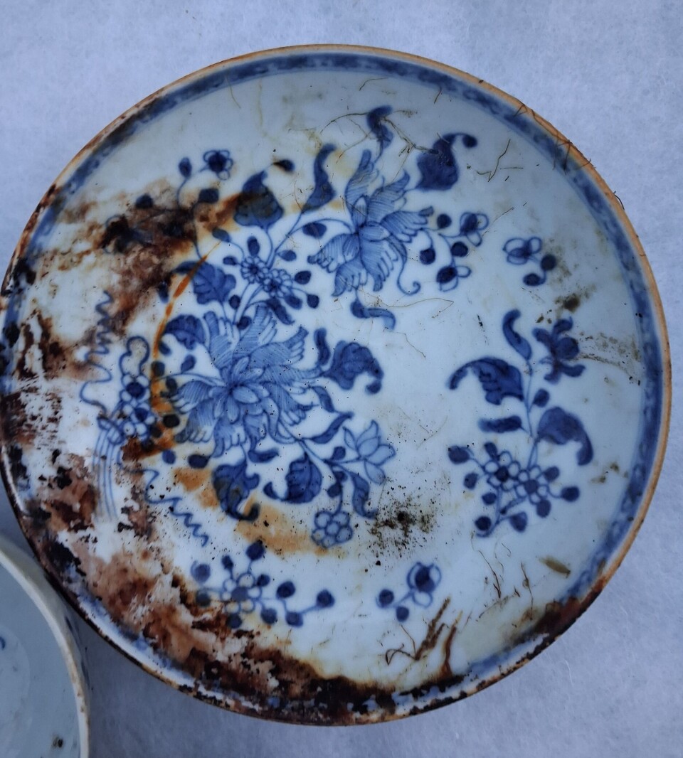 Blue and white floral ceramic plate with chips and stains on a plain surface.