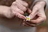 Close-up of hands gently holding a small white willow flower.