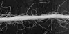 Close-up of pale textile threads and stray fibres on a dark background.